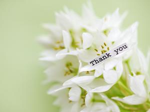 工具を購入するなら通販を利用しよう